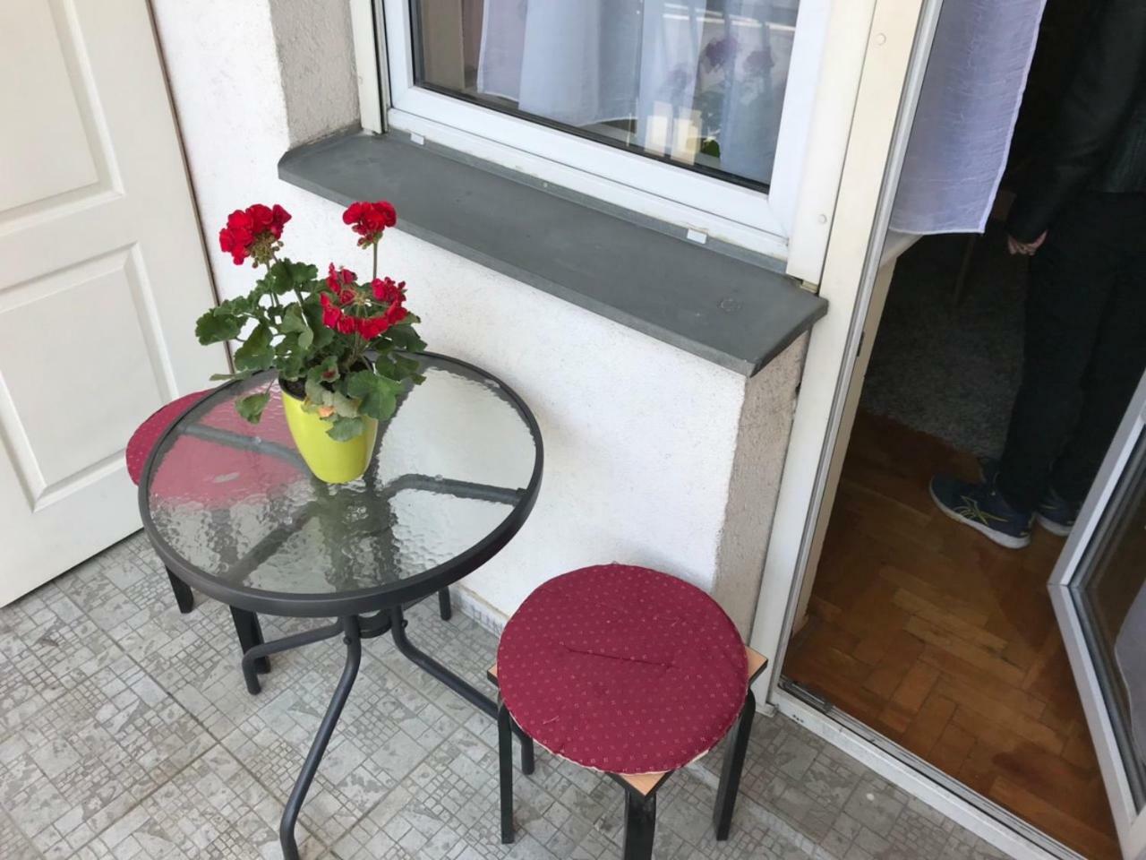נובי סאד Tina Sajam Studio מראה חיצוני תמונה